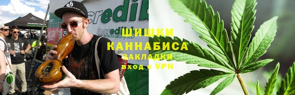 тгк Верея