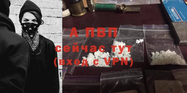 spice Верхний Тагил